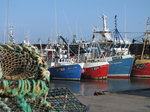 SX01371 Fishing boats in Dunmore East harbour.jpg